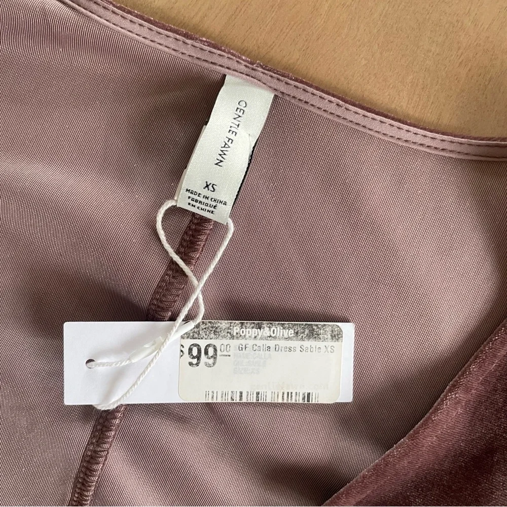 Gentle Fawn Velvet Long Sleeve Dress in Rich Mauve - Picture 6 of 10